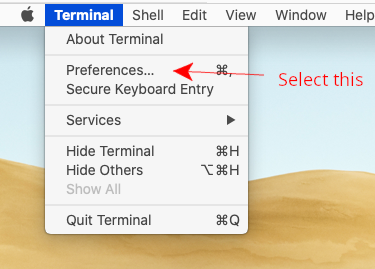 terminal preferences